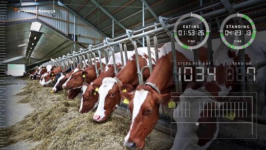 Future Friday: Farming AR to Revolutionize Agriculture